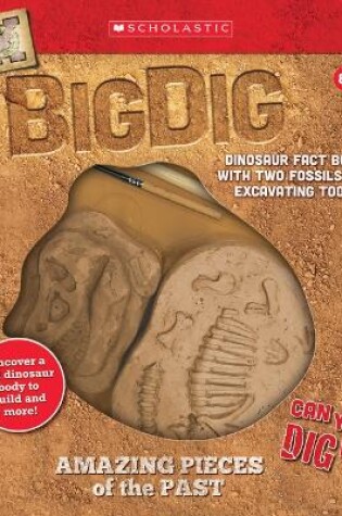 Cover of Big Dig Excavation Kit