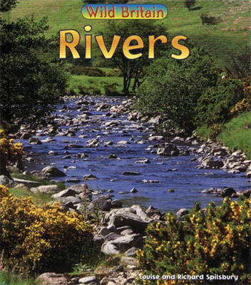 Book cover for Wild Britain: Rivers Big Book