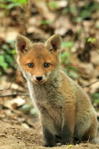 Cover of Baby Fox Animal Journal