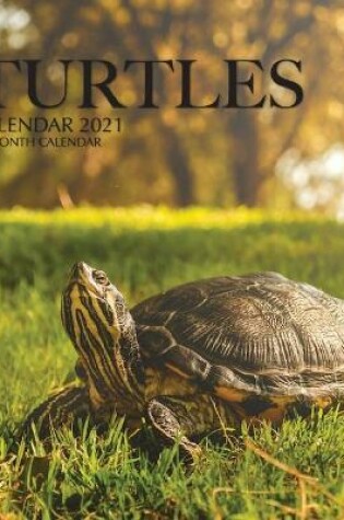 Cover of Turtles Calendar 2021