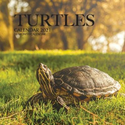 Book cover for Turtles Calendar 2021