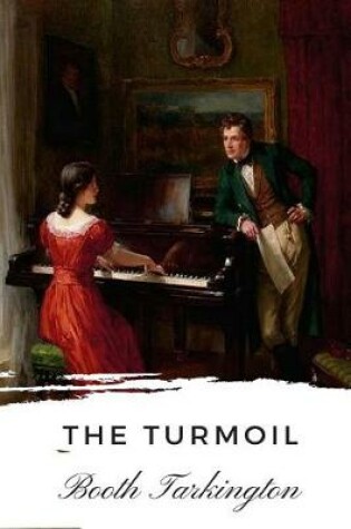 Cover of The Turmoil