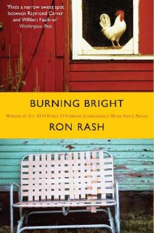 Cover of Burning Bright