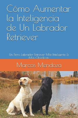 Book cover for Como Aumentar la Inteligencia de Un Labrador Retriever