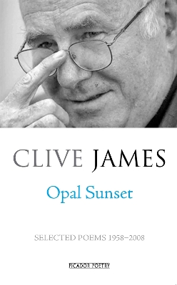 Book cover for Opal Sunset