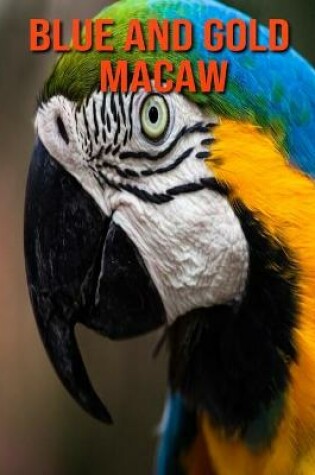 Cover of Blue and Gold Macaw