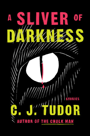 Cover of A Sliver of Darkness
