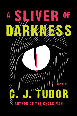 Book cover for A Sliver of Darkness