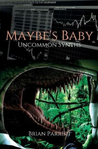 Cover of Maybe's Baby