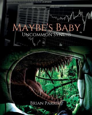 Book cover for Maybe's Baby