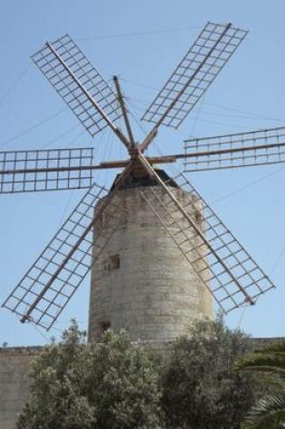 Cover of Website Password Organizer a Windmill Made of Stone