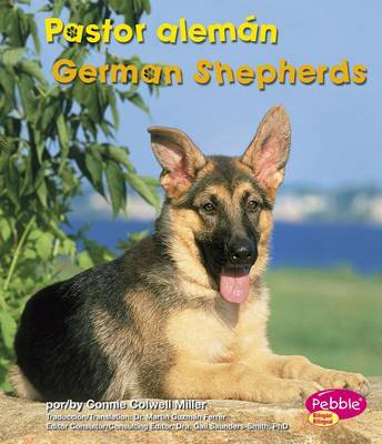 Book cover for Pastor Alem�n/German Shepherds