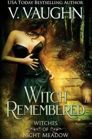 Cover of Witch Remembered