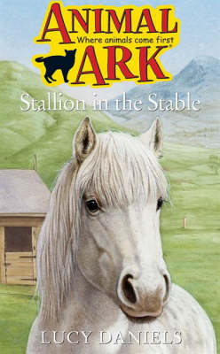 Cover of Stallion in the Stable
