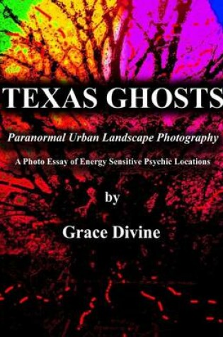Cover of Texas Ghosts Paranormal Urban Landscape Photography