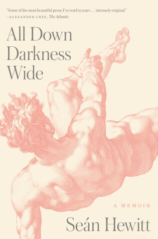 Cover of All Down Darkness Wide