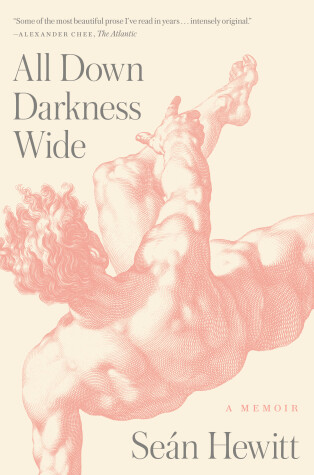 Book cover for All Down Darkness Wide