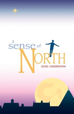 Book cover for Sense of North, A