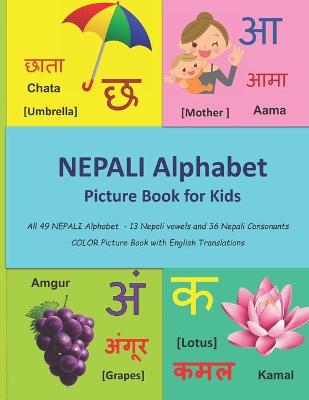 Book cover for NEPALI Alphabet Picture Book for Kids