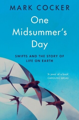 Cover of One Midsummer's Day