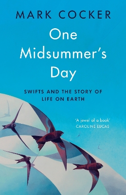 Book cover for One Midsummer's Day