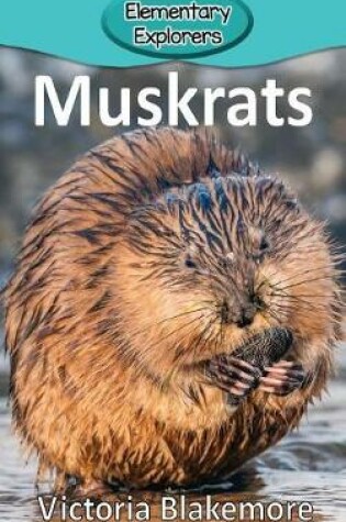 Cover of Muskrats