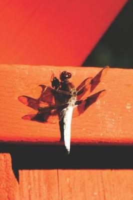 Book cover for Dragonfly on Bridge Pretty Blank Lined Journal for daily thoughts notebook Lovely Lake Arrowhead Photograph