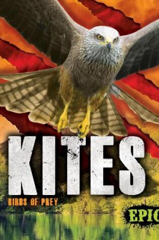 Cover of Kites