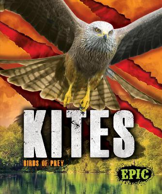 Book cover for Kites