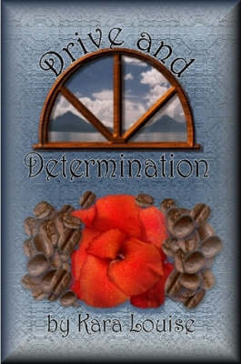 Book cover for Drive and Determination