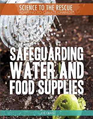 Book cover for Safeguarding Water and Food Supplies