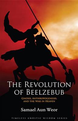 Book cover for The Revolution of Beelzebub