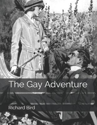 Book cover for The Gay Adventure