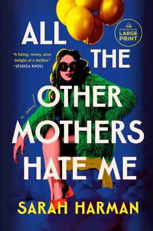 Cover of All the Other Mothers Hate Me