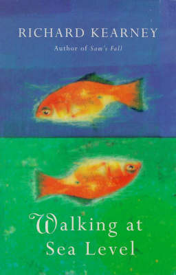 Book cover for Walking at Sea Level