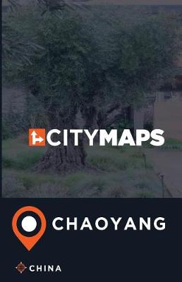 Book cover for City Maps Chaoyang China