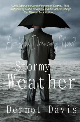 Book cover for Stormy Weather