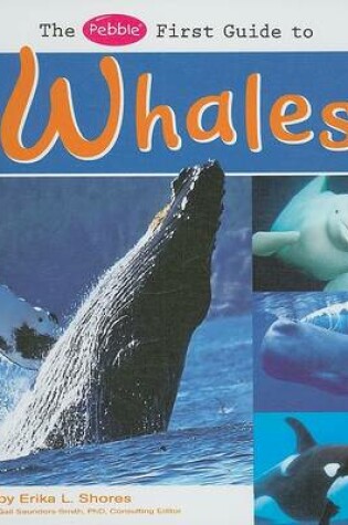 Cover of The Pebble First Guide to Whales