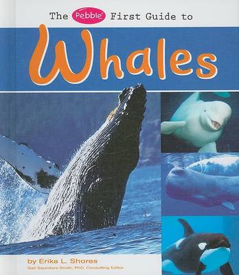 Book cover for The Pebble First Guide to Whales