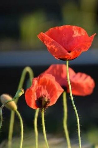 Cover of Red Poppy Flowers on a Sunny Afternoon Journal