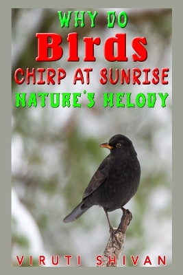 Book cover for Why Do Birds Chirp at Sunrise