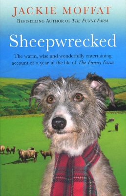 Book cover for Sheepwrecked