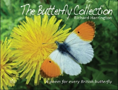 Book cover for The Butterfly Collection