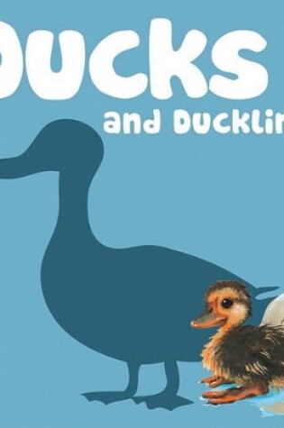 Ducks and Ducklings