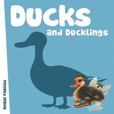Book cover for Ducks and Ducklings