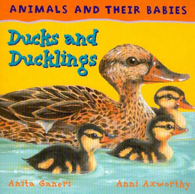 Book cover for Ducks and Ducklings