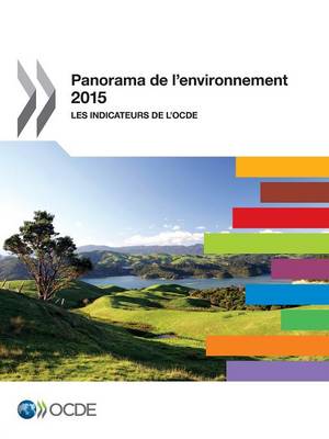 Book cover for Panorama de l'environnement 2015