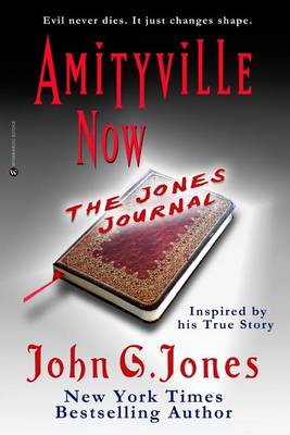 Book cover for Amityville Now