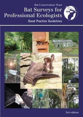 Cover of Bat Surveys for Professional Ecologists