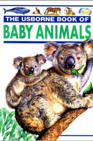 Cover of The Usborne Book of Baby Animals